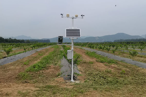 農(nóng)林種植小氣候觀測自動氣象站方案